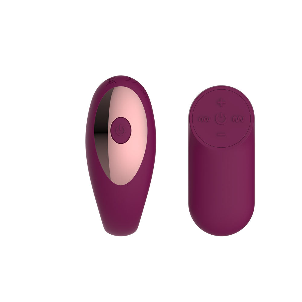 Passion Play Couple Vibe with Remote Controller - Purple USB Rechargeable Couples Vibrator with Wireless Remote
