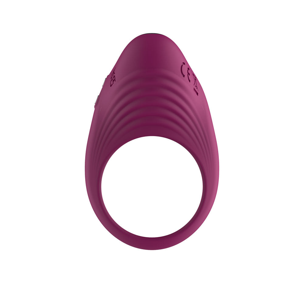 Passion Play Silicone Vibrating Cockring - Purple USB Rechargeable Penis Ring