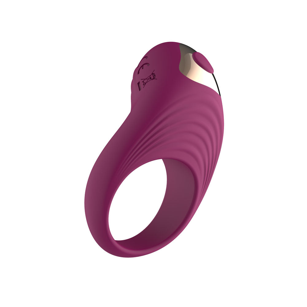 Passion Play Silicone Vibrating Cockring - Purple USB Rechargeable Penis Ring