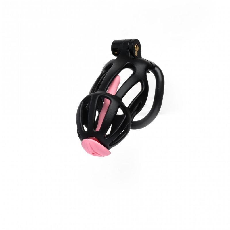 Centurion Size 2 Cock Cage with Pussification Plug - Silk and Sin