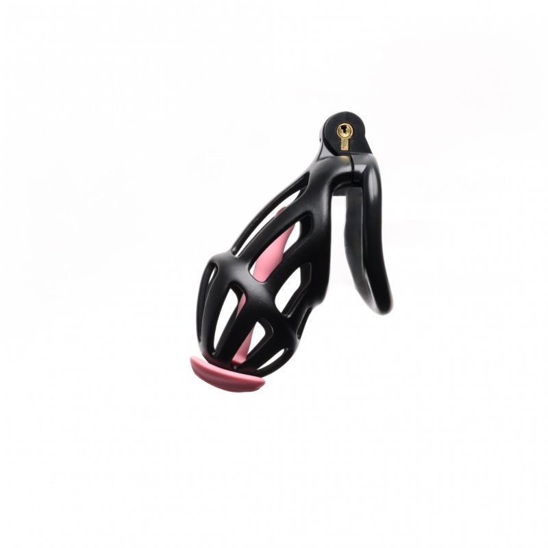 Centurion Size 2 Cock Cage with Pussification Plug - Silk and Sin