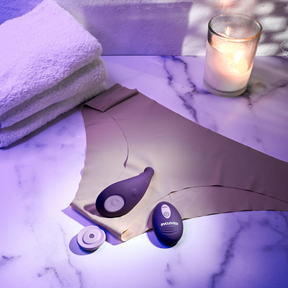 Evolved PANTY PARTY - Purple USB Rechargeable Panty Vibrator with Remote Control - Silk and Sin
