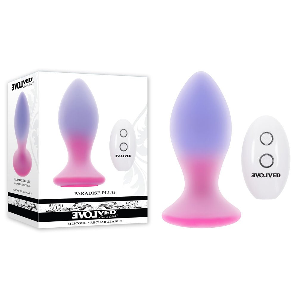 Evolved PARADISE PLUG - Pink/Purple 10.5 cm USB Rechargeable Vibrating Butt Plug with Wireless Remote - Silk and Sin