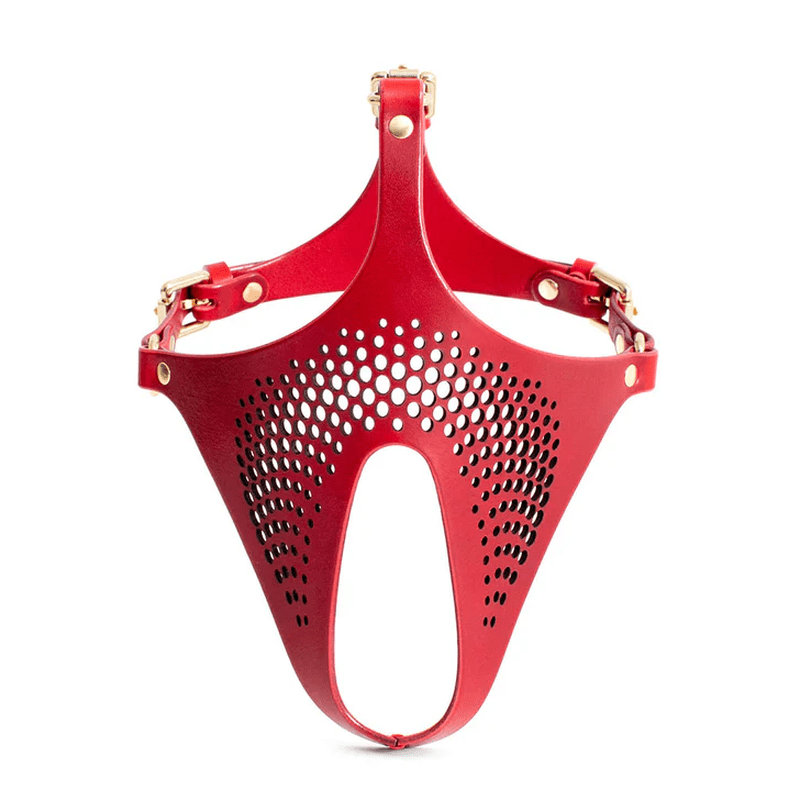 Ex Machina Genuine Leather Mask Red - Silk and Sin