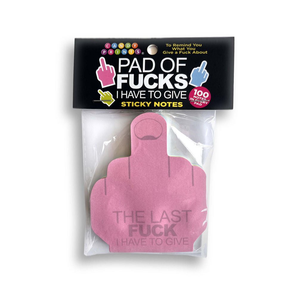 Last Fuck I Have To Give Sticky Notes - Multi Coloured Novelty Sticky Notes - 100 Pack - Silk and Sin