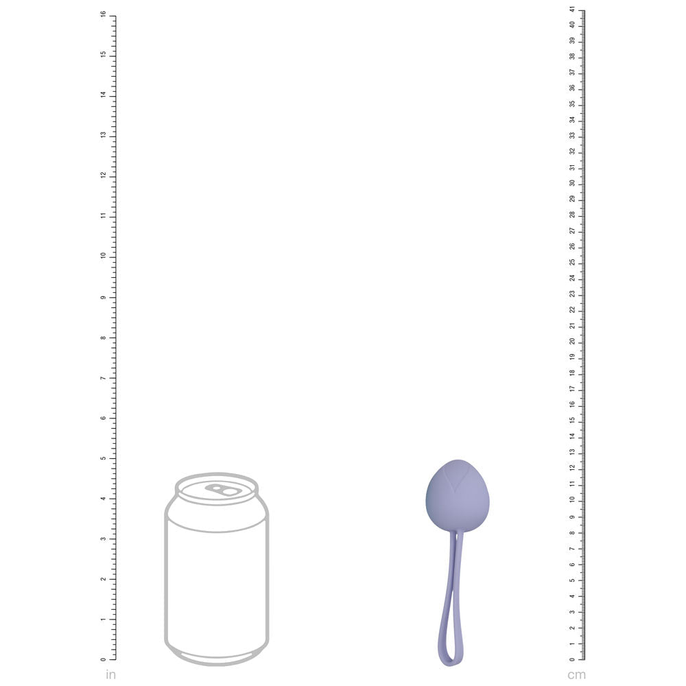 LOVELINE PelviFit Berry - Coloured Kegel Kit - Set of 5 Sizes - Silk and Sin