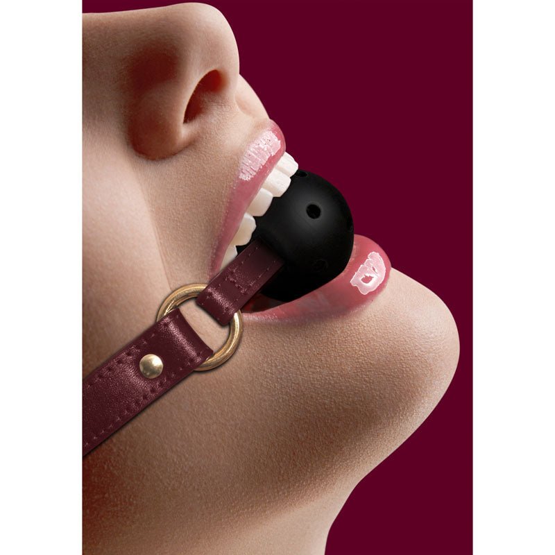 OUCH! Halo - Breathable Ball Gag - Burgundy Mouth Restraint - silkandsin