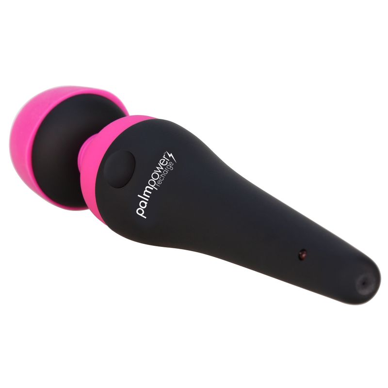 PalmPower Massage Wand Recharge Waterproof - silkandsin