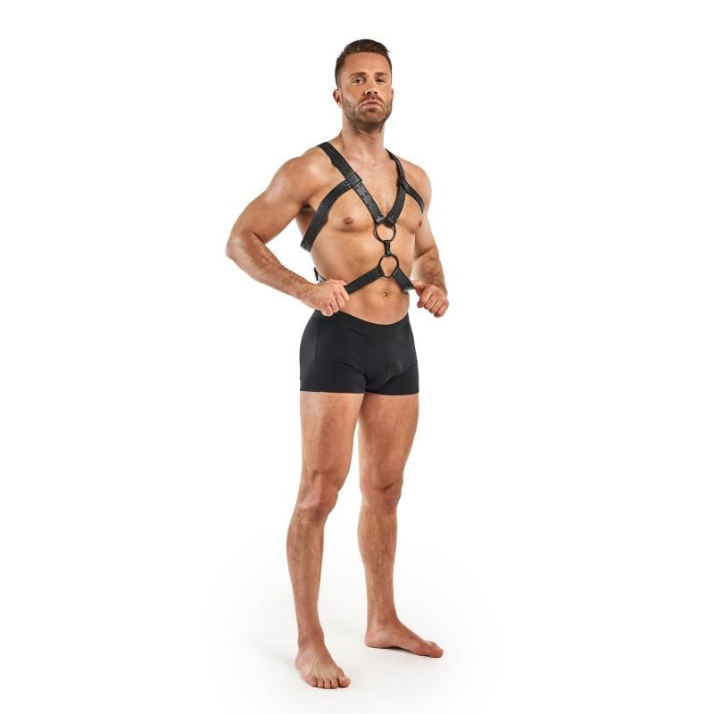 Rocco Bondage Harness Black - Silk and Sin