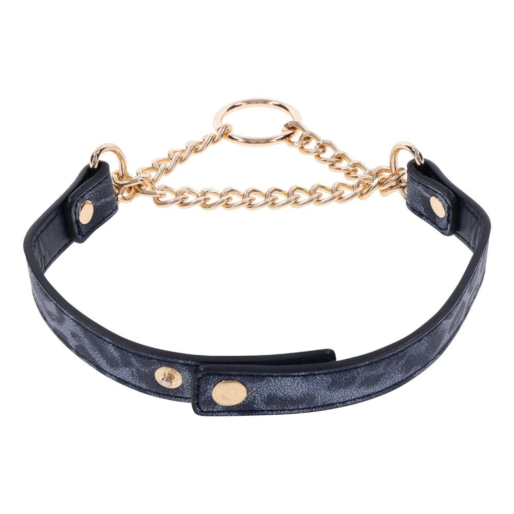 Sex & Mischief Cougar Day Collar - Navy Blue/Gold Collar - silkandsin