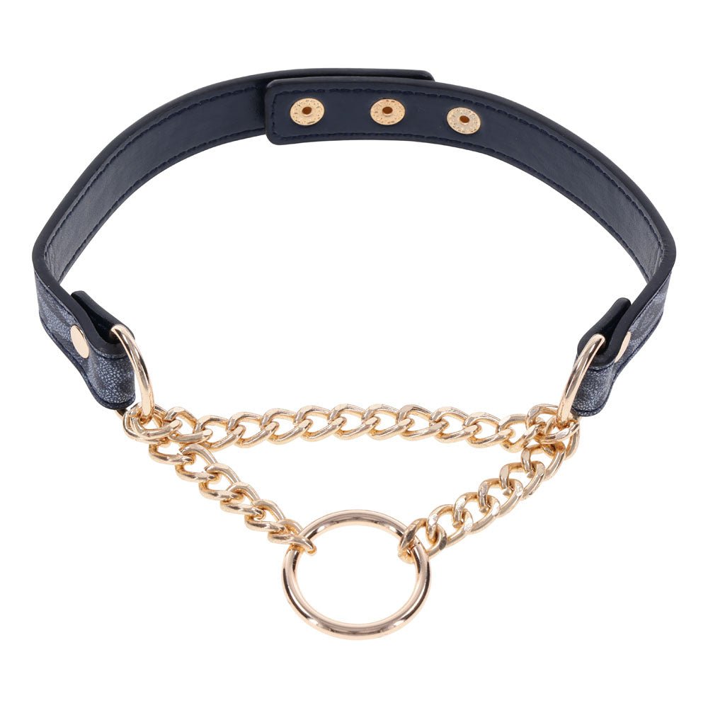Sex & Mischief Cougar Day Collar - Navy Blue/Gold Collar - silkandsin