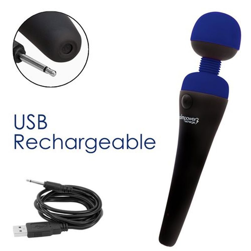 PalmPower Massage Wand Blue-30614