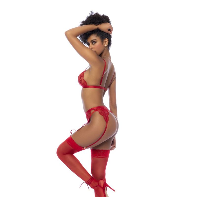  Garter Belt and Thong