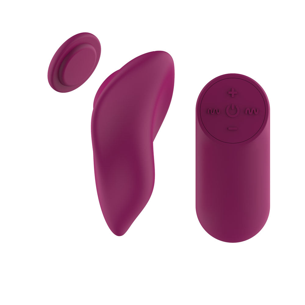 Passion Play Magnet Panty Vibe with Remote - Purple USB Rechargeable Panty Vibrator with Wireless Remote Control
