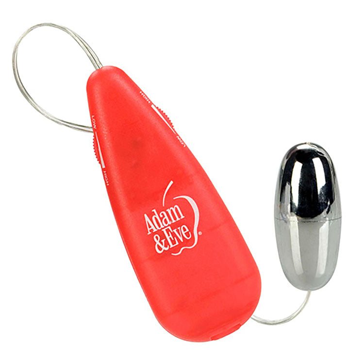 Adam & Eve VIBRATING SILVER BULLET - Silver Vibrating Bullet with Remote Control - silkandsin