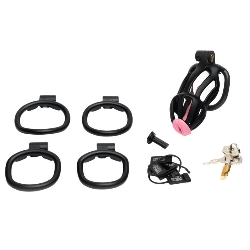 Centurion Size 2 Cock Cage with Pussification Plug - Silk and Sin