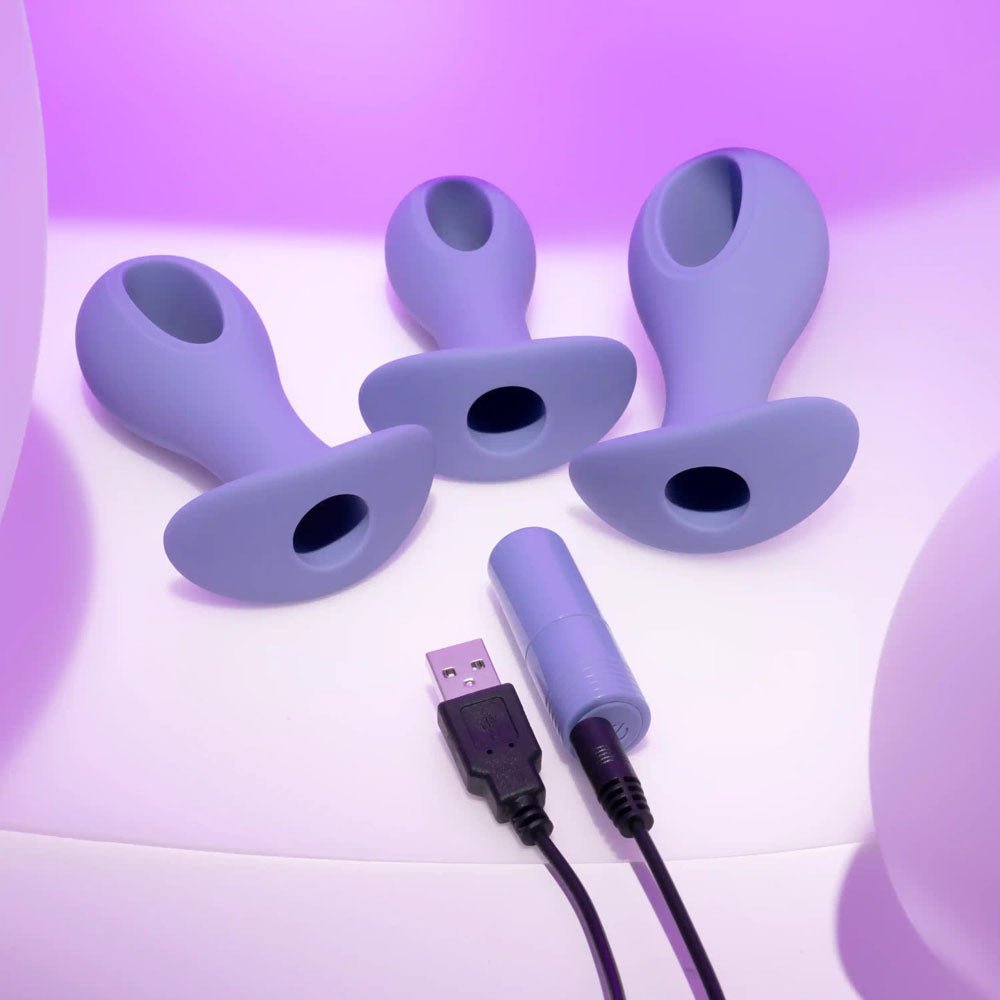 Evolved HOLE PUNCH PLUG SET - Purple Butt Plugs with Interchangeable Bullet - Set of 3 Sizes - Silk and Sin