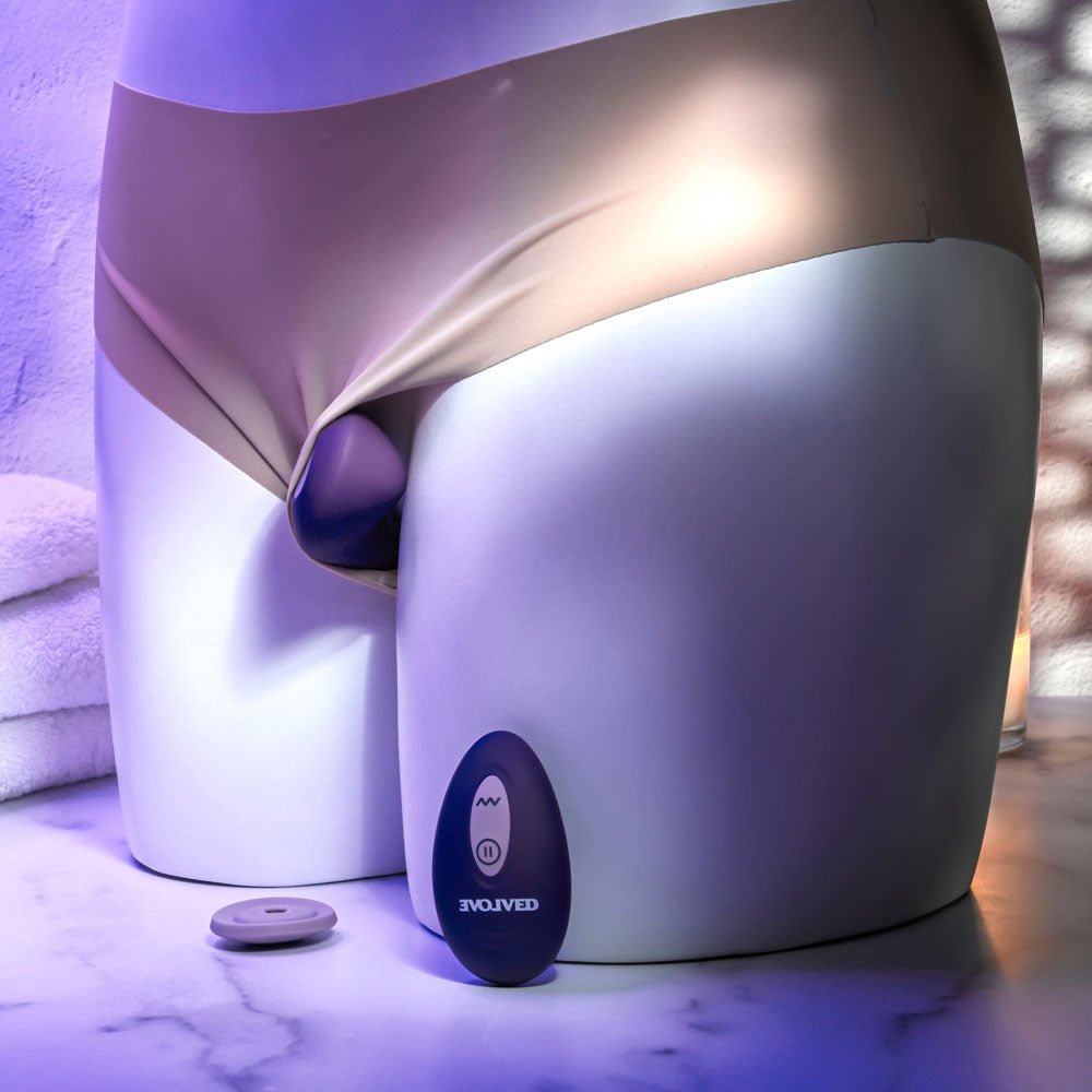Evolved PANTY PARTY - Purple USB Rechargeable Panty Vibrator with Remote Control - Silk and Sin
