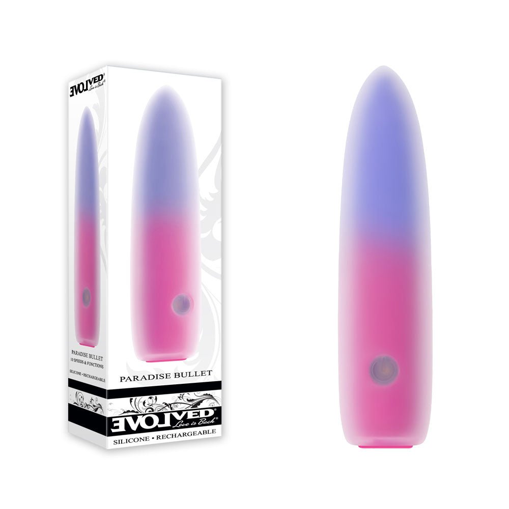 Evolved PARADISE BULLET - Pink/Purple 10.2 cm USB Rechargeable Bullet - Silk and Sin