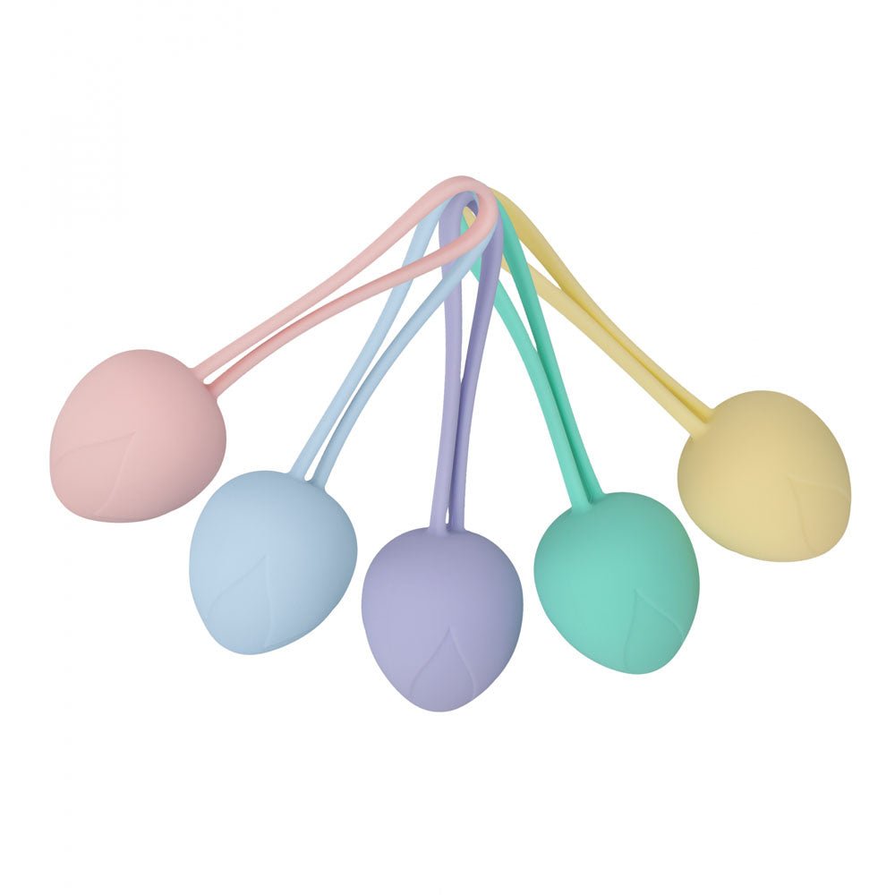 LOVELINE PelviFit Berry - Coloured Kegel Kit - Set of 5 Sizes - Silk and Sin