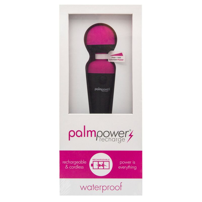 PalmPower Massage Wand Recharge Waterproof - silkandsin