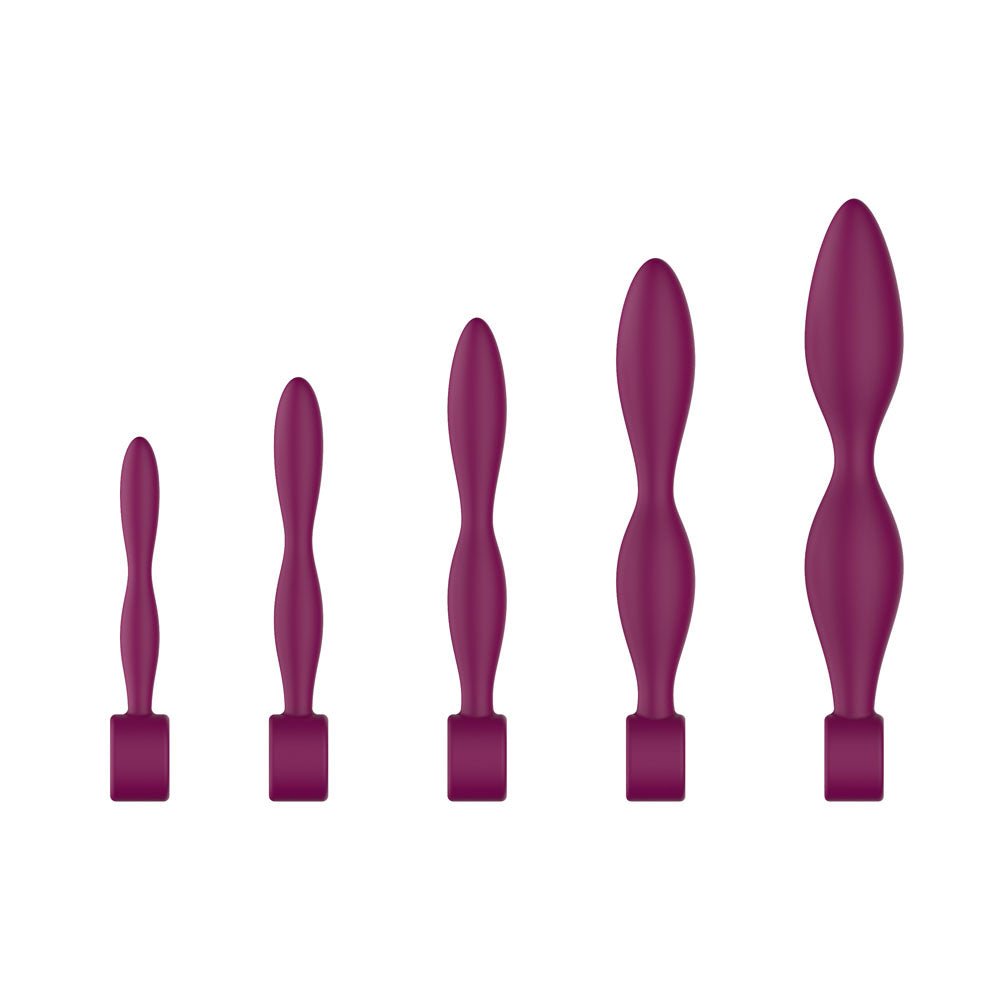 Passion Play Silicone Dilator Set - Purple Dilator Kit - Set of 5 Sizes - Silk and Sin