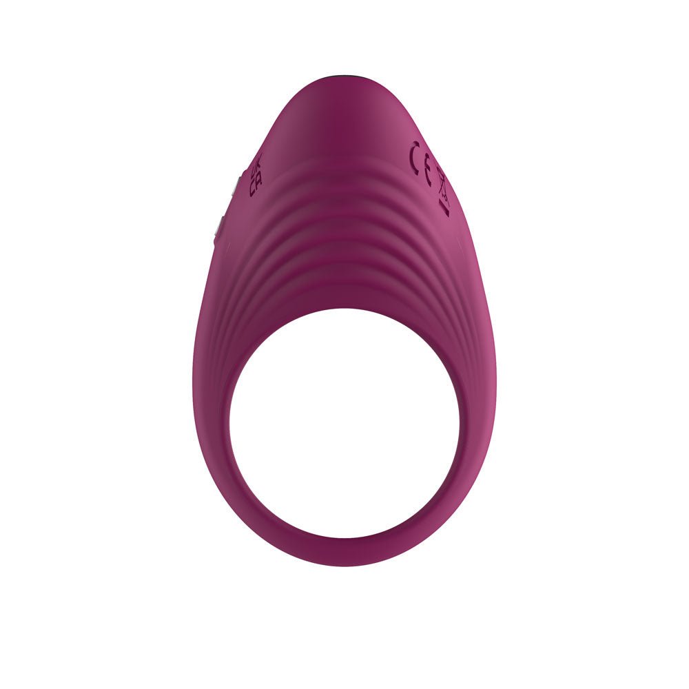 Passion Play Silicone Vibrating Cockring - Purple USB Rechargeable Penis Ring - Silk and Sin