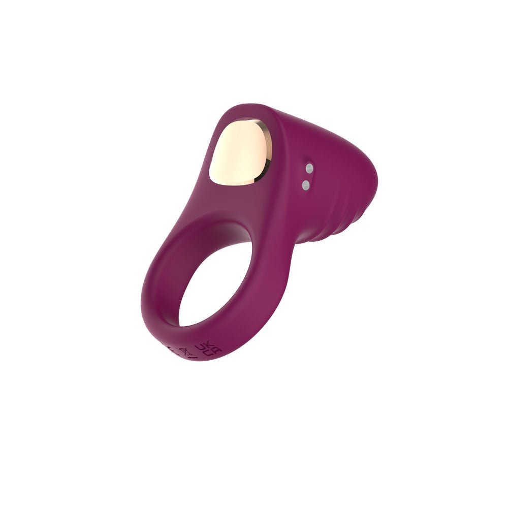 Passion Play Silicone Vibrating Cockring - Purple USB Rechargeable Penis Ring - Silk and Sin