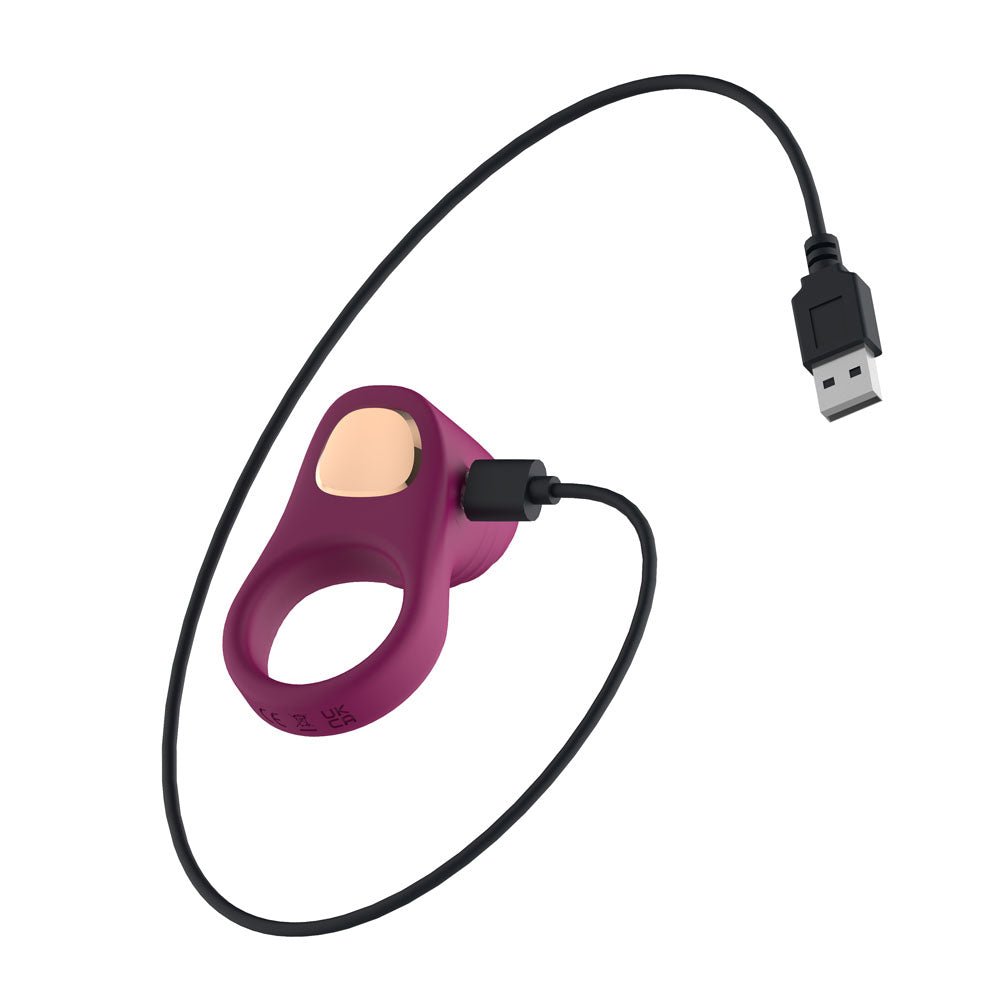 Passion Play Silicone Vibrating Cockring - Purple USB Rechargeable Penis Ring - Silk and Sin