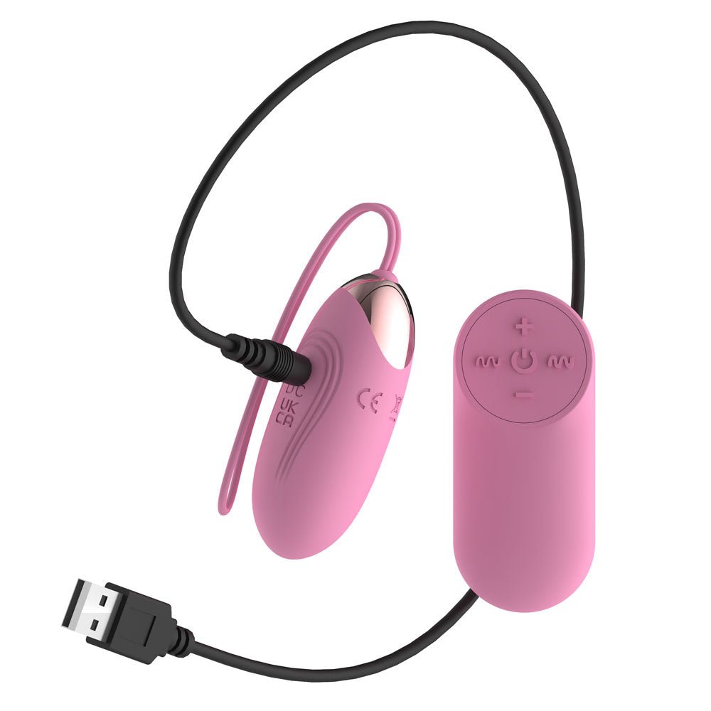 Passion Play Silicone Vibrating Egg - Small - Pink USB Rechargeable Vibrating Egg with Wireless Remote - Silk and Sin