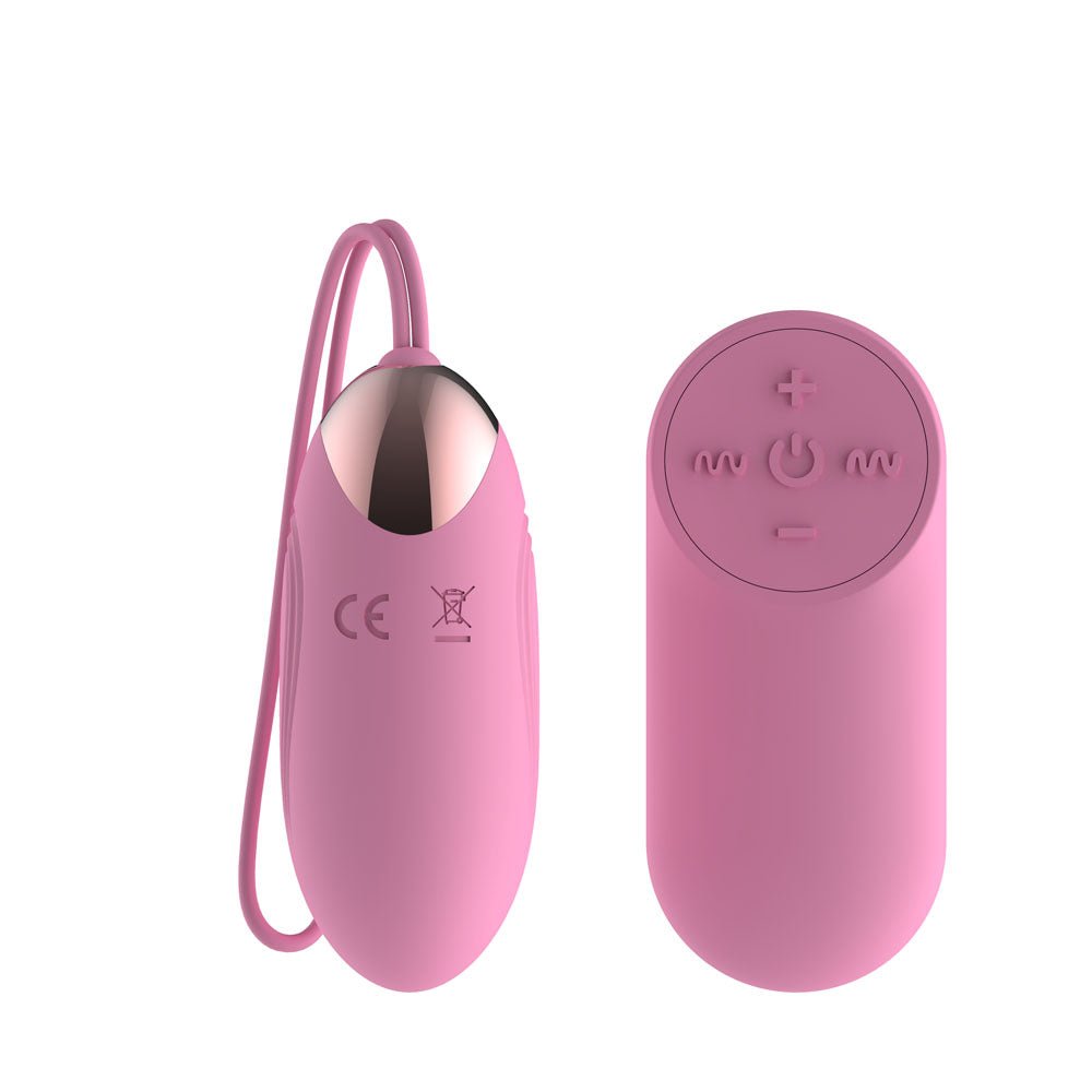 Passion Play Silicone Vibrating Egg - Small - Pink USB Rechargeable Vibrating Egg with Wireless Remote - Silk and Sin