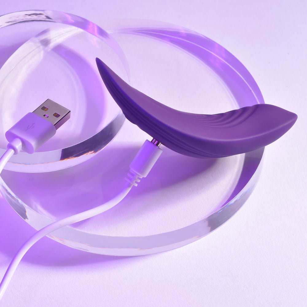Playboy Pleasure OUR LITTLE SECRET - Purple USB Rechargeable Panty Vibrator with Wireless Remote Control - silkandsin