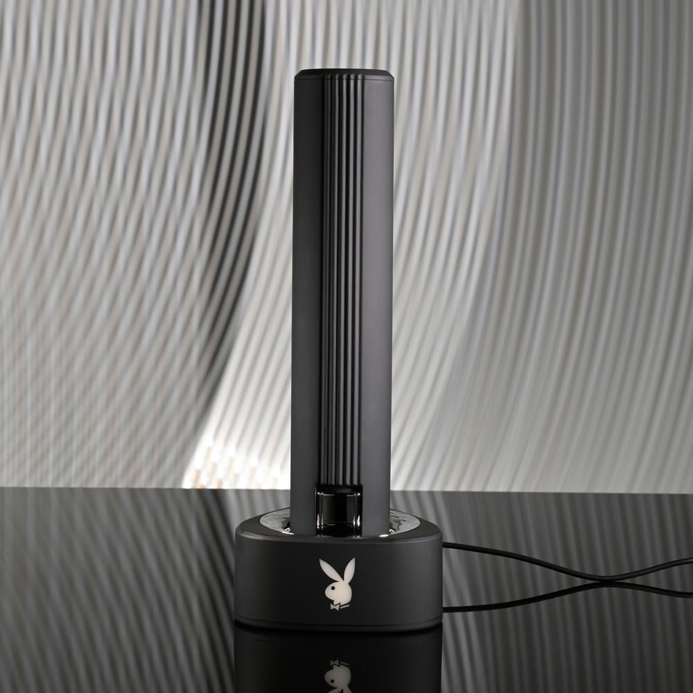 Playboy Pleasure PLEASURE ZONE - Black 21.4 cm Rechargeable Vibrator with USB Charging Dock - silkandsin