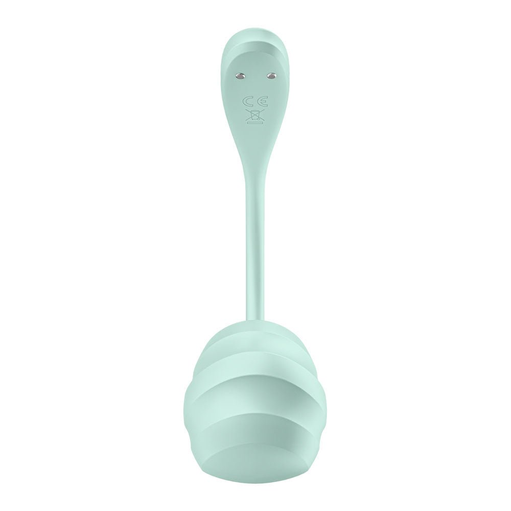 Satisfyer Smooth Petal - Mint - Mint USB Rechargeable Wearable Stimulator with App Control - Silk and Sin