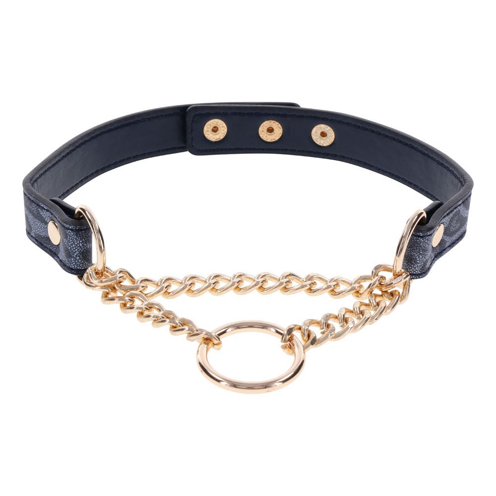 Sex & Mischief Cougar Day Collar - Navy Blue/Gold Collar - silkandsin