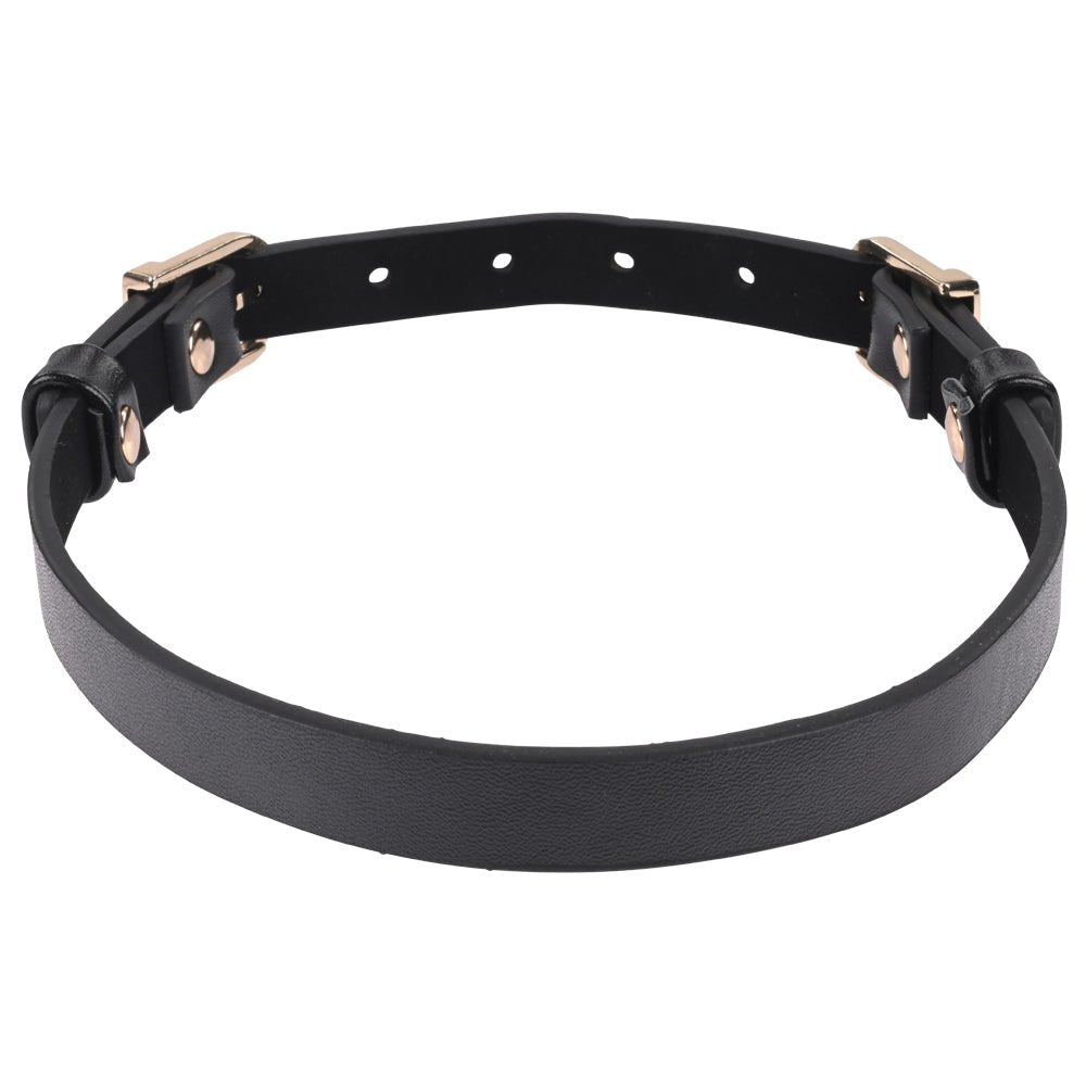 Sex & Mischief Double Buckle Day Collar - Black Collar - silkandsin