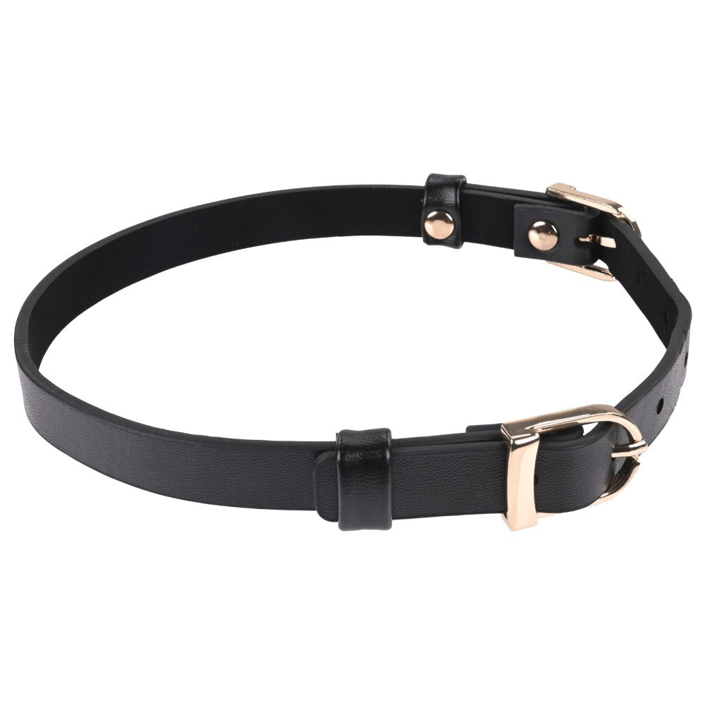 Sex & Mischief Double Buckle Day Collar - Black Collar - silkandsin